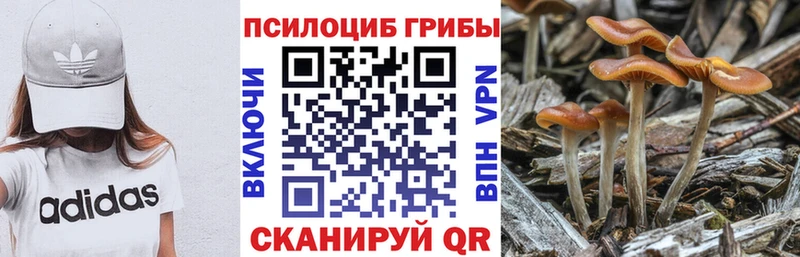 Псилоцибиновые грибы GOLDEN TEACHER  Купить где  Тырныауз 